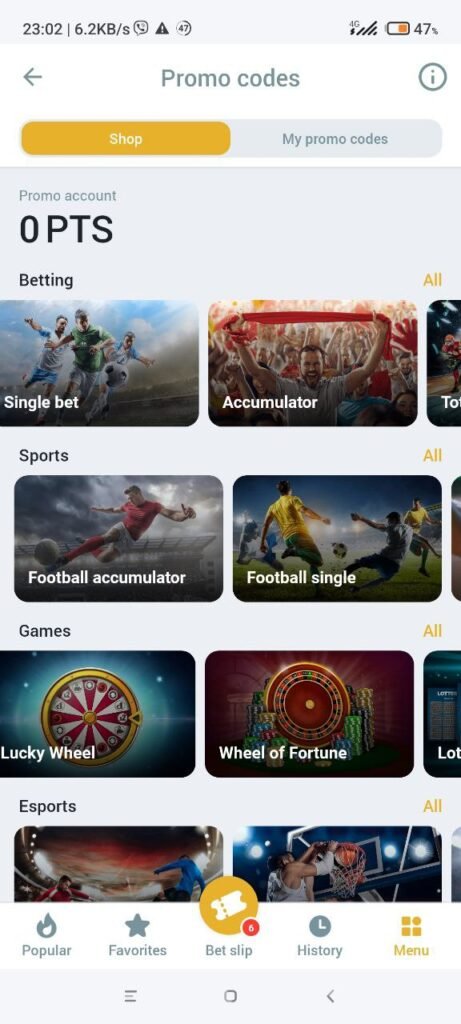 Promo code store in application