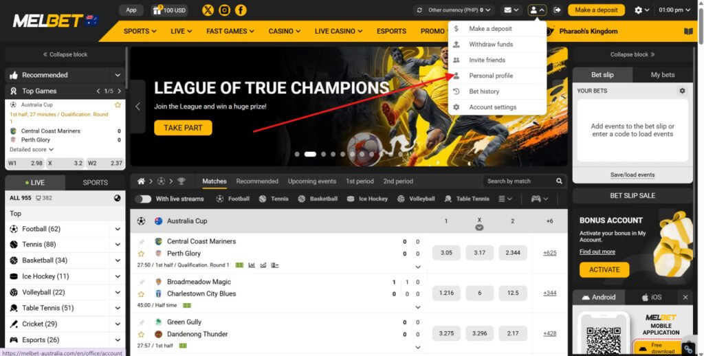 Promo code verification at MelBet desktop website picture 1
