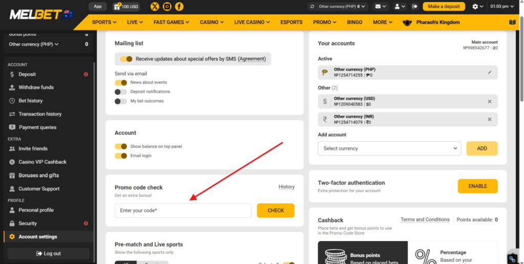 Promo code verification at MelBet desktop website picture 2